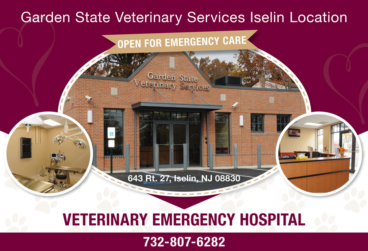Garden State Veterinary Services Iselin Emergency Veterinary Hospital