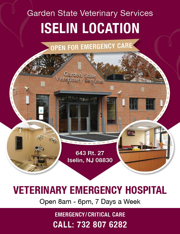 Garden State Veterinary Services Iselin Emergency Veterinary Hospital