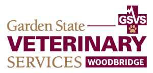 GSVServices Woodbridge Logo